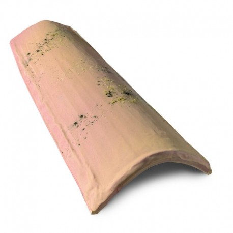 Canal Médoc Patinée